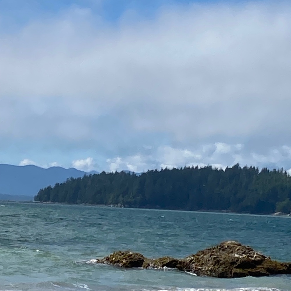 Looking for Chevy Stevens books